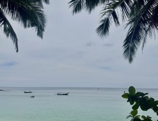 Гавань-турцентр