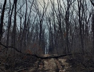 Политехник