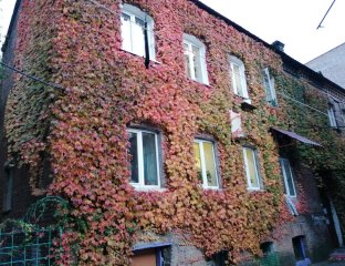 Мирабель Тур