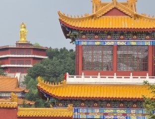 Дороги мира