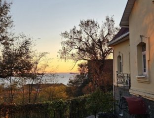 Карапуз-Академия