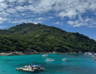 Тур бар жара