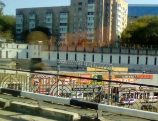 Владивостокский центр экспертизы