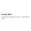 Access Bars