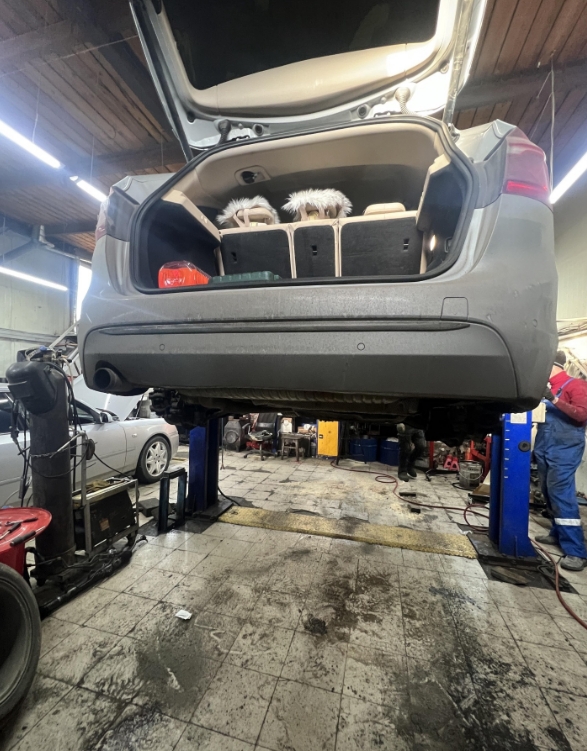 Фото организации