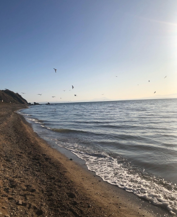 Фото организации