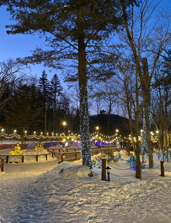 Фото организации