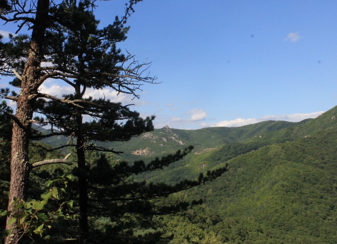 Фото организации