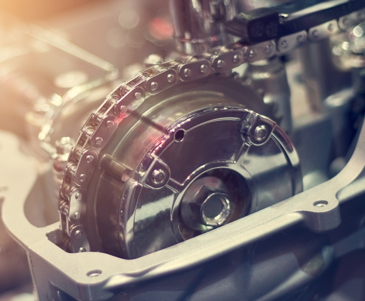 Фото организации