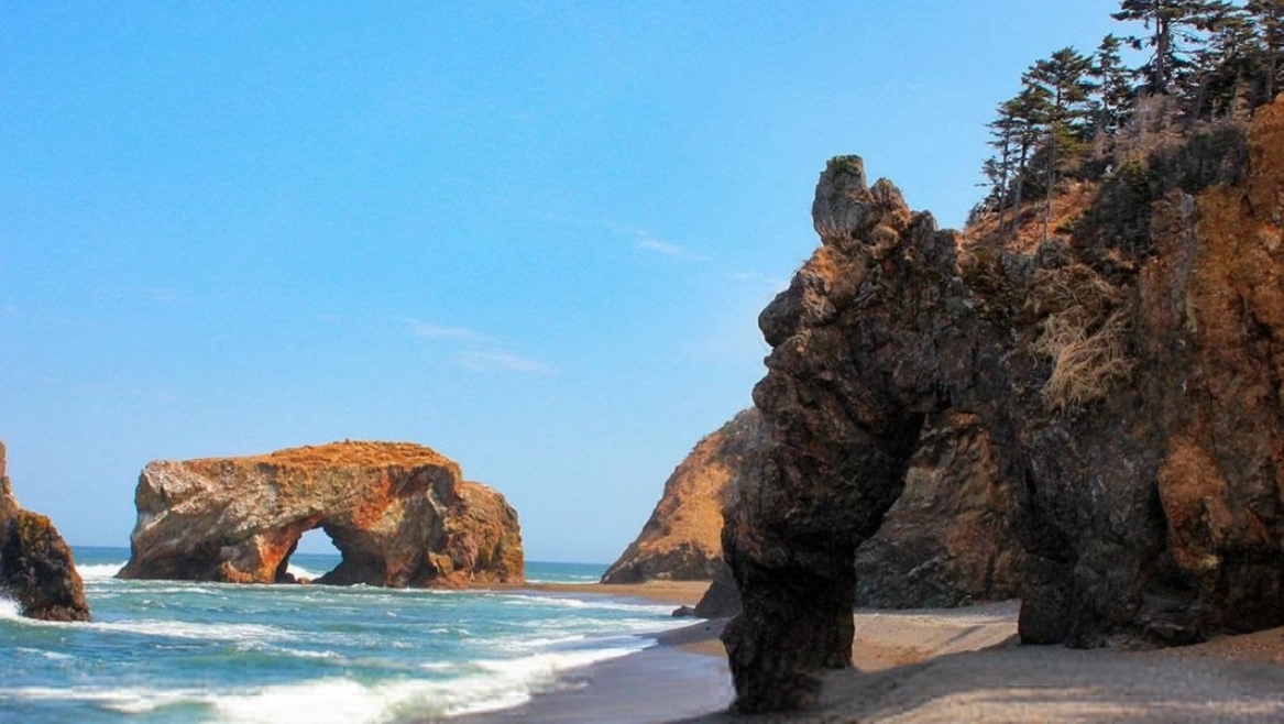 Фото организации