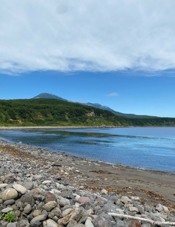 Фото организации