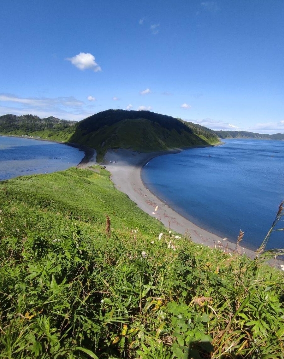 Фото организации