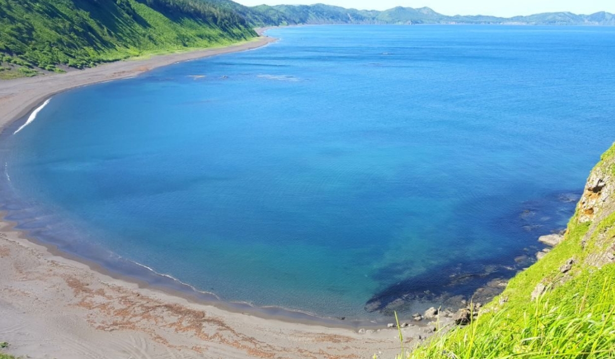 Фото организации