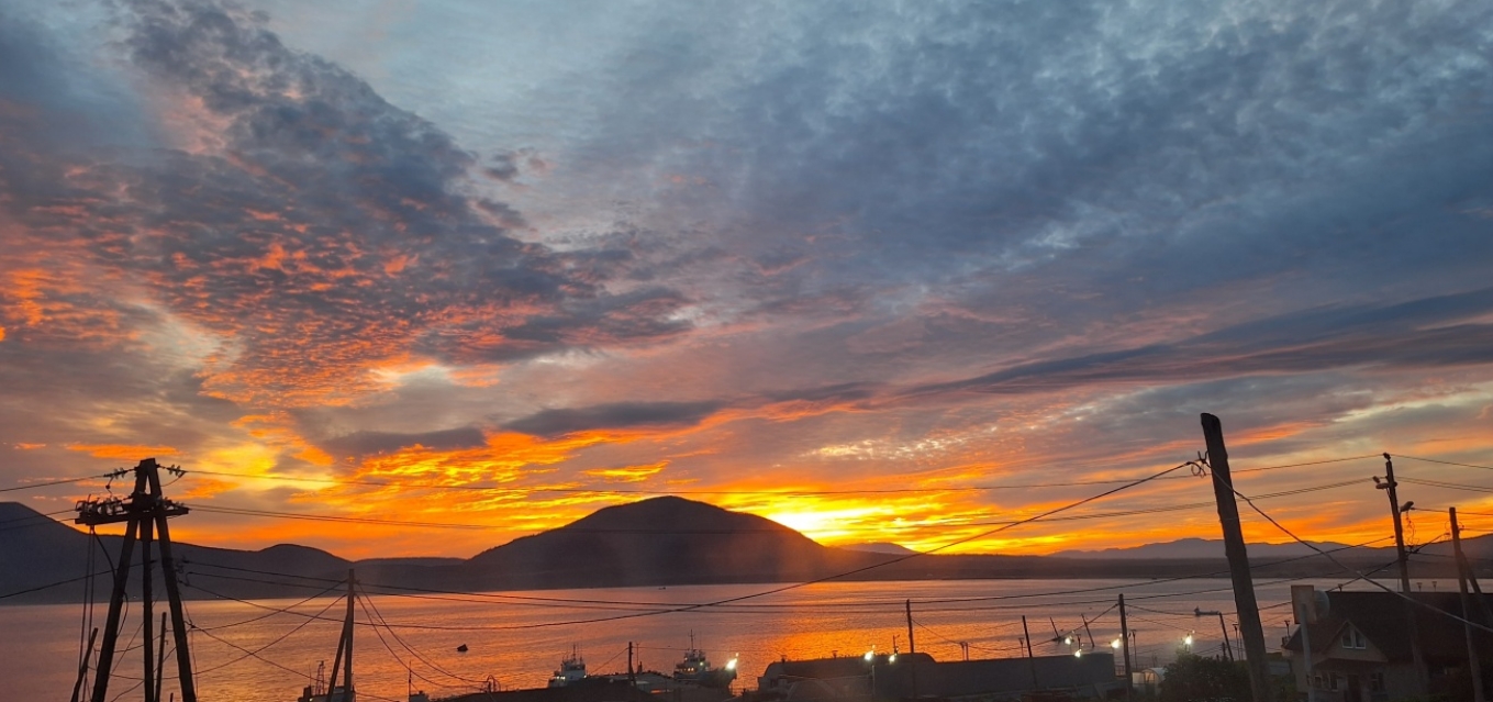 Фото организации