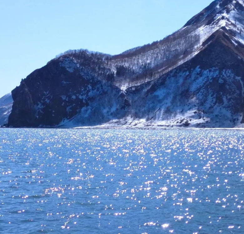 Фото организации