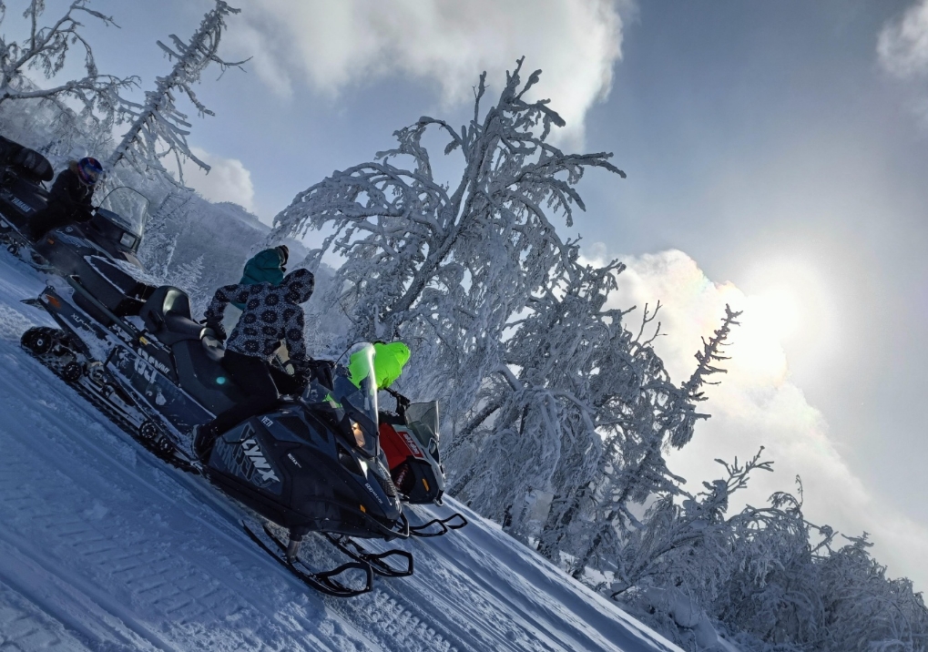 Фото организации