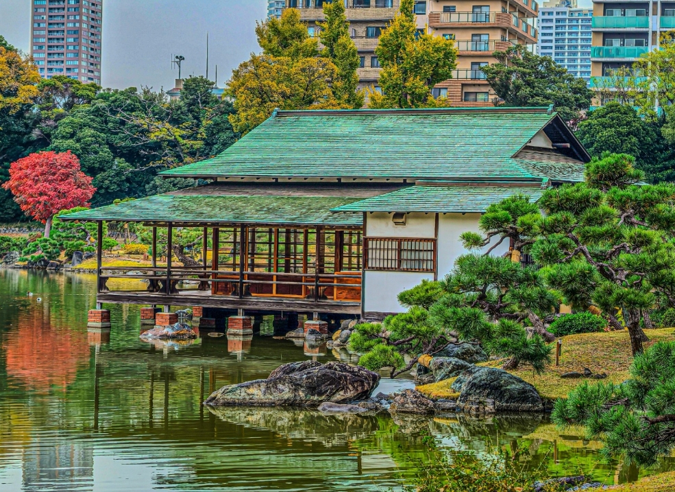 Фото организации