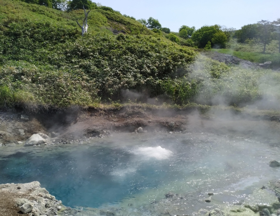 Фото организации