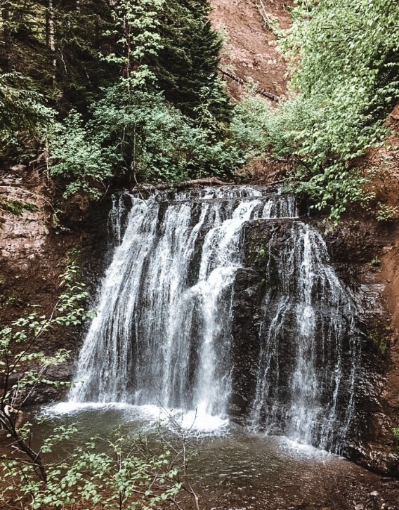 Фото организации