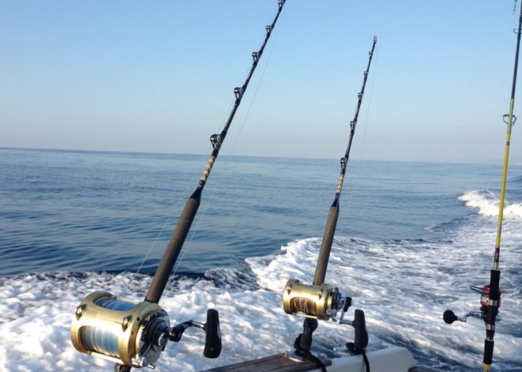 Фото организации