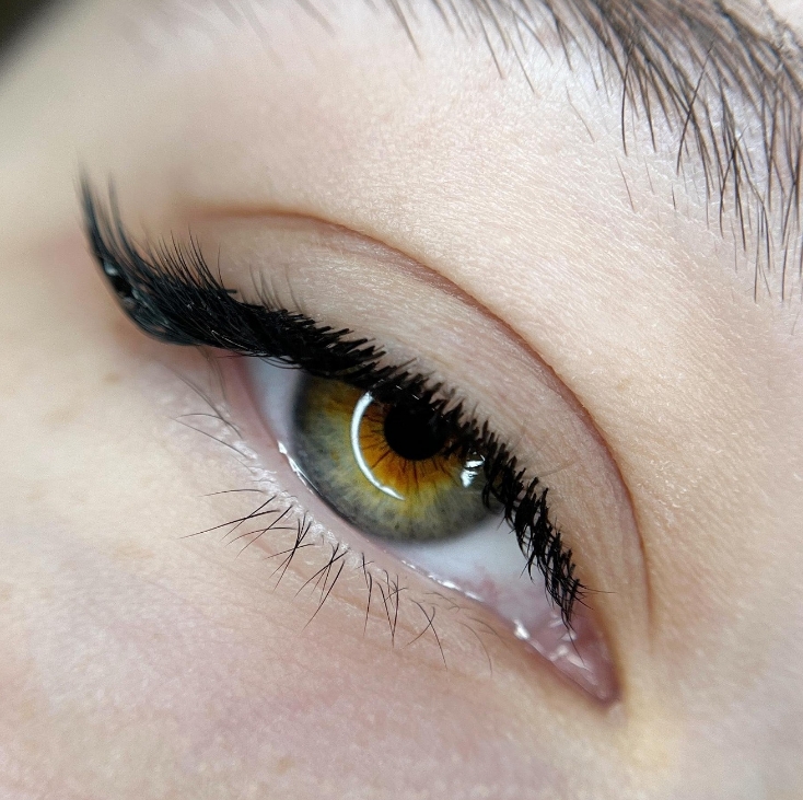 Фото организации