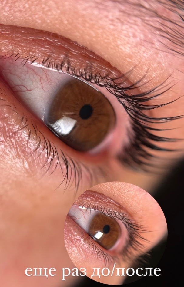 Фото организации