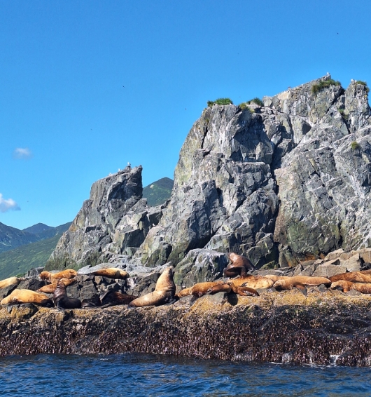 Фото организации