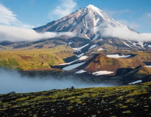 Фото организации