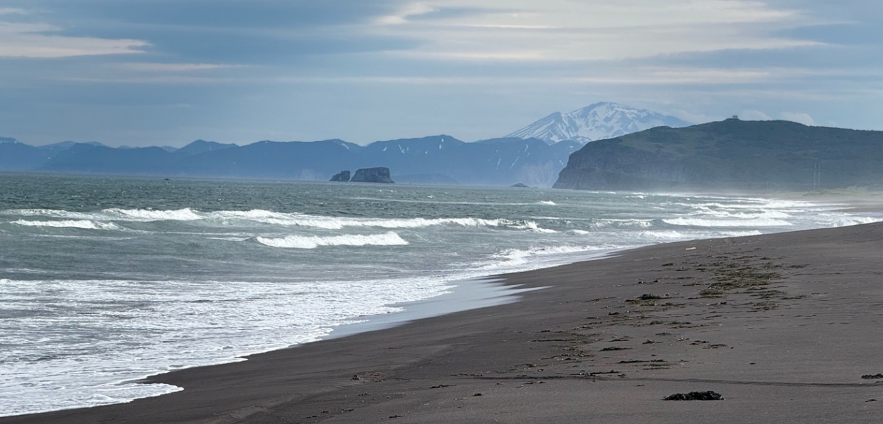 Фото организации