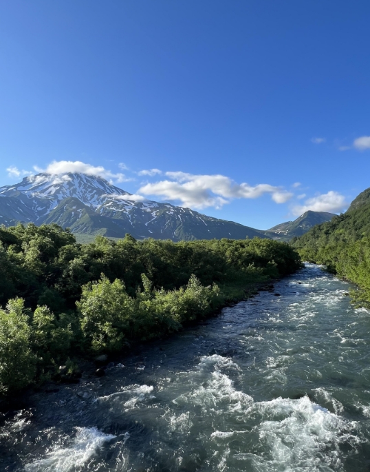 Фото организации