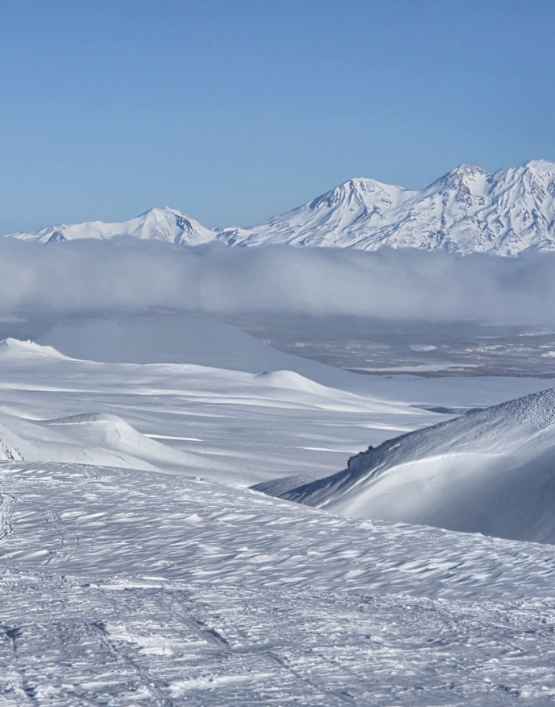 Фото организации