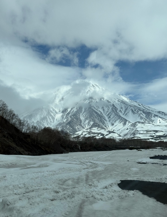 Фото организации