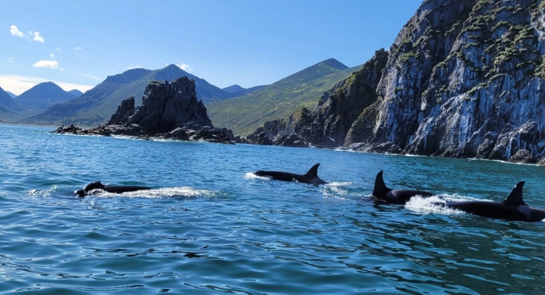 Фото организации