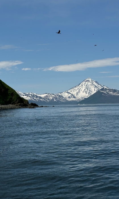 Фото организации