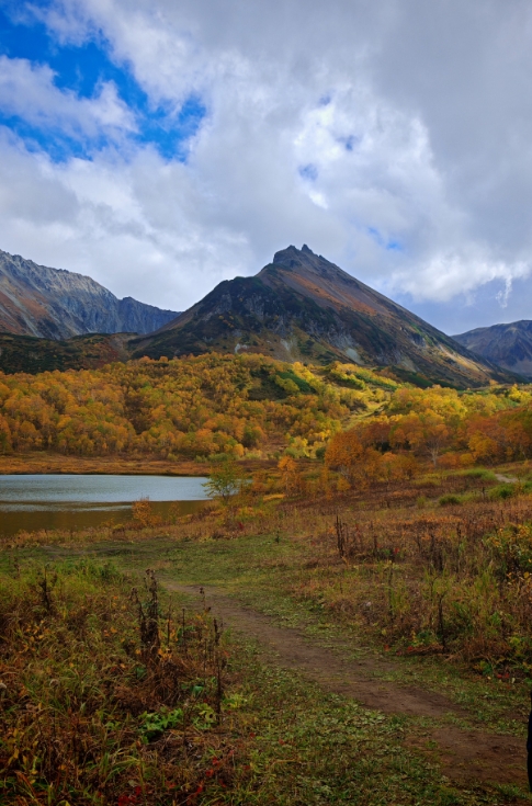 Фото организации