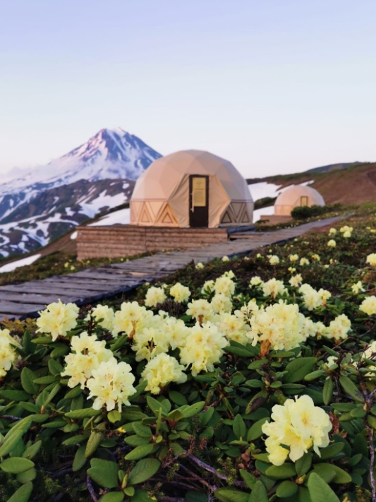 Фото организации