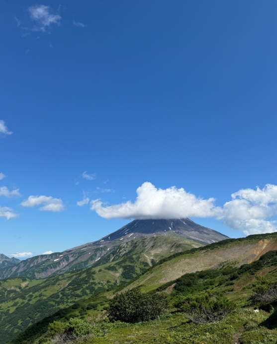 Фото организации