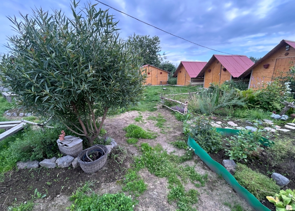 Фото организации