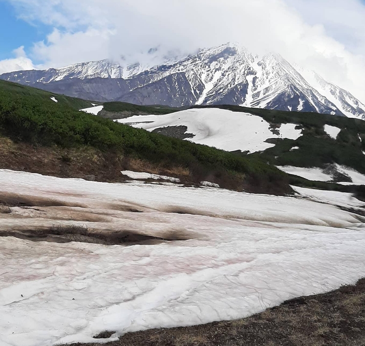 Фото организации