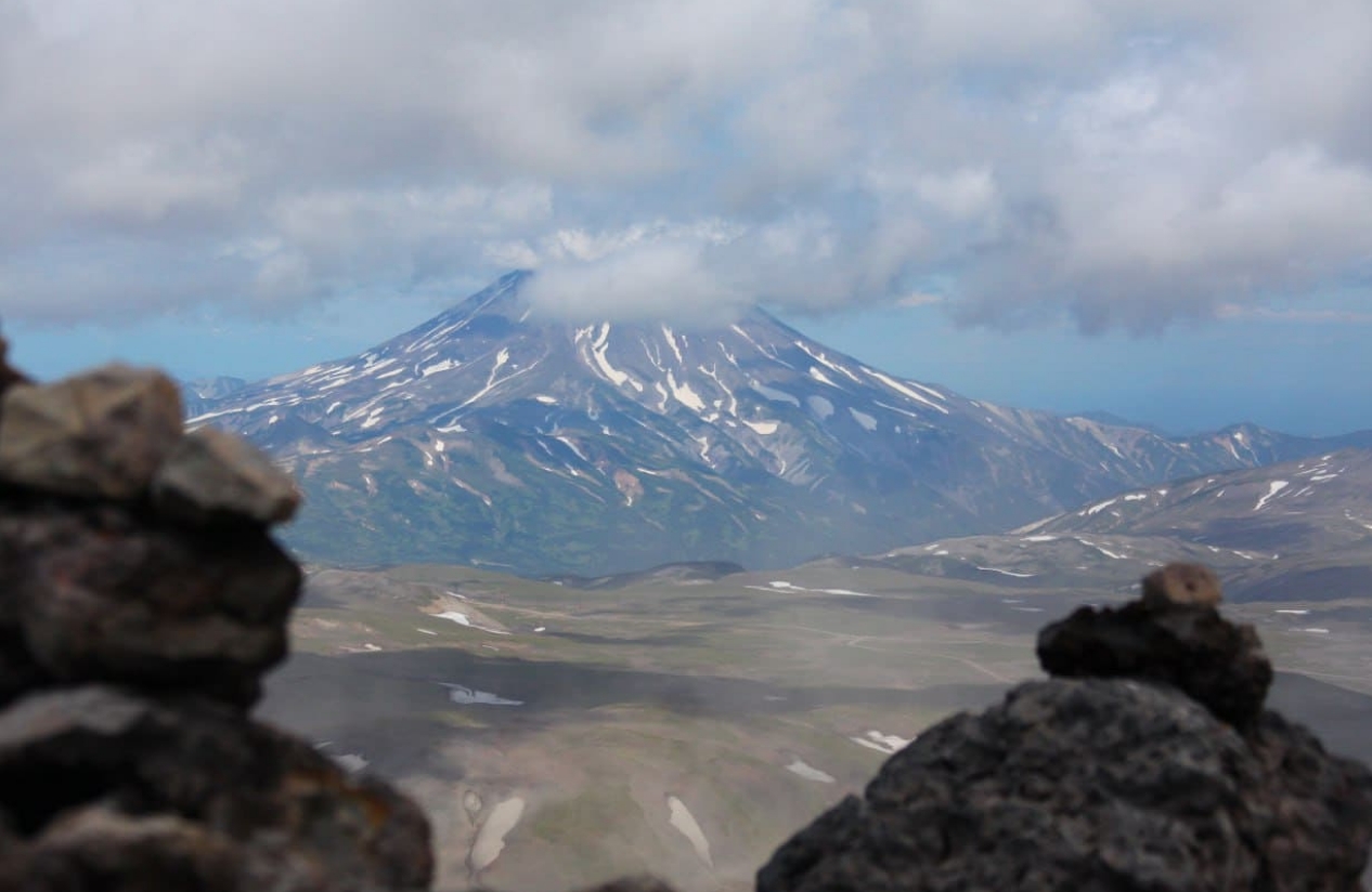 Фото организации