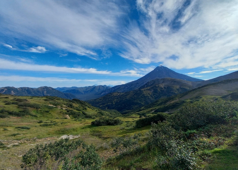 Фото организации