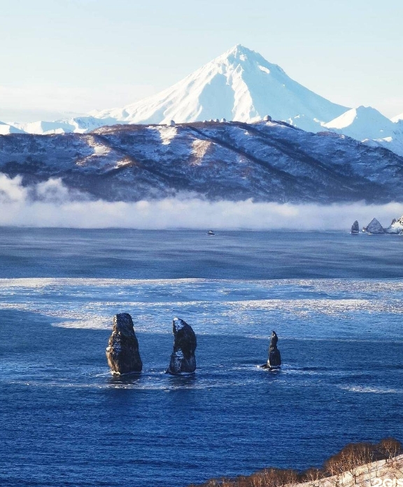 Фото организации