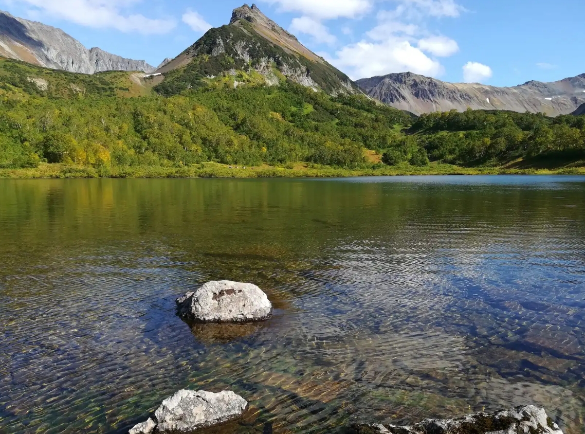 Фото организации