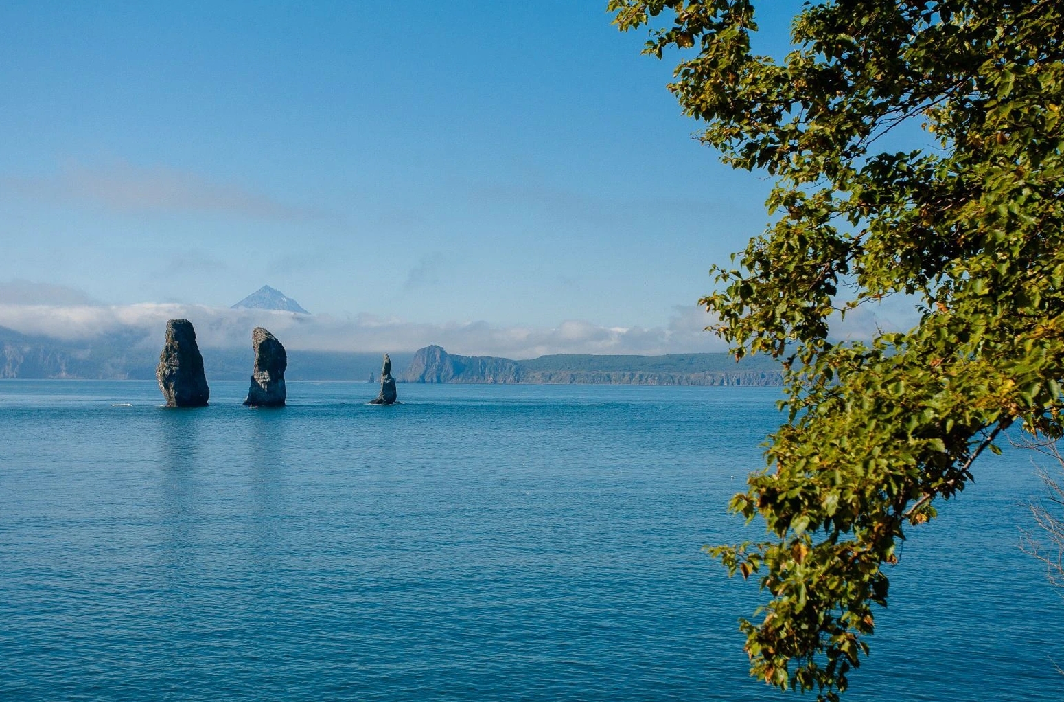 Фото организации