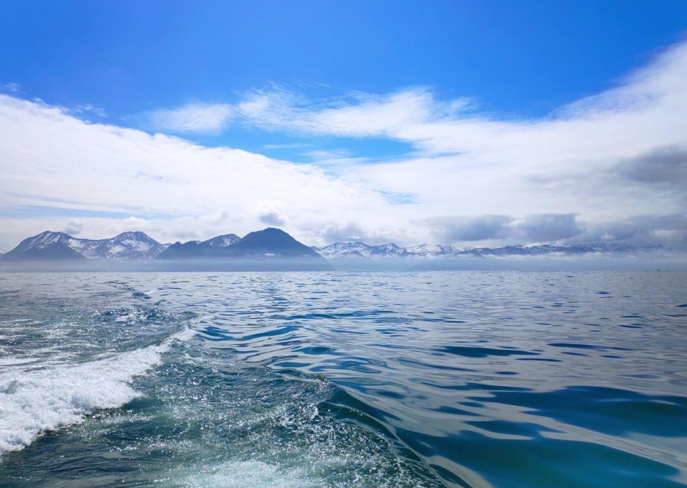 Фото организации