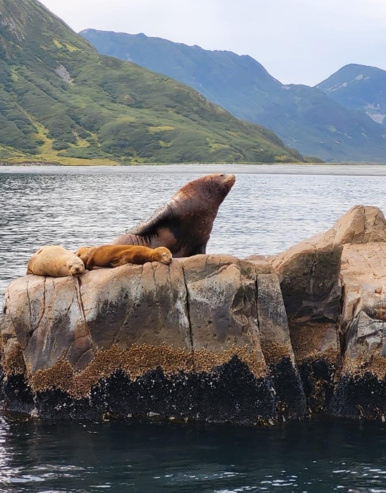 Фото организации