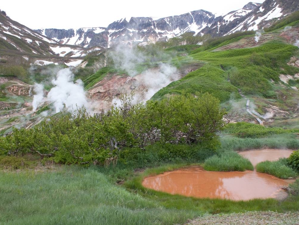 Фото организации