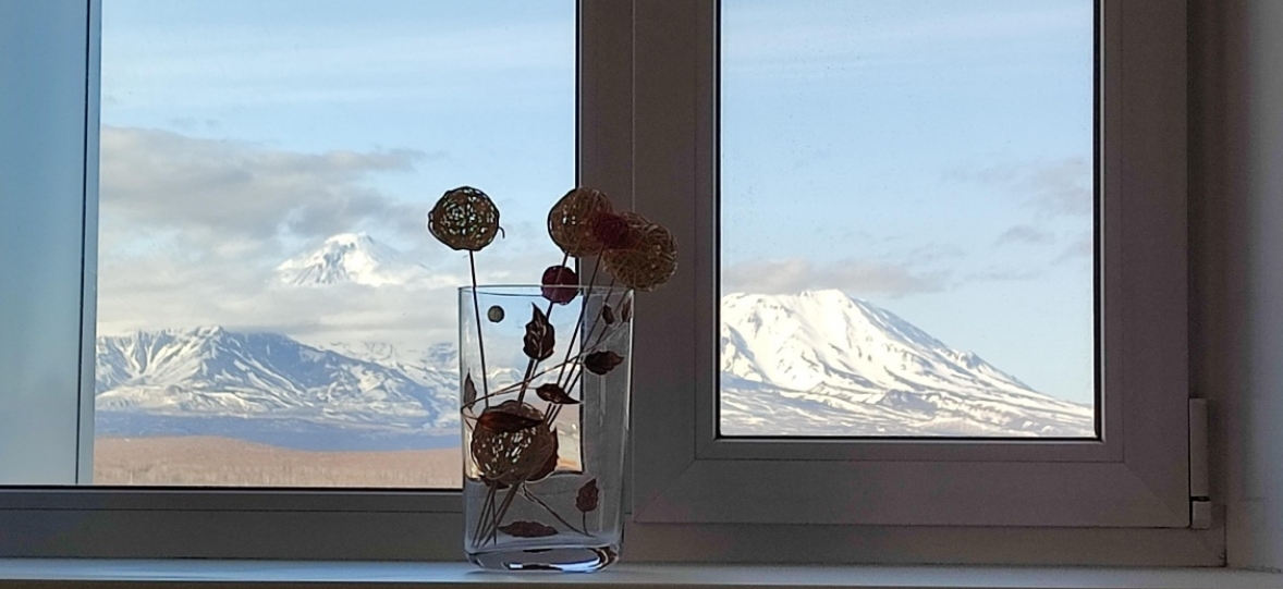 Фото организации