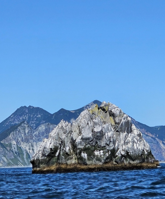 Фото организации