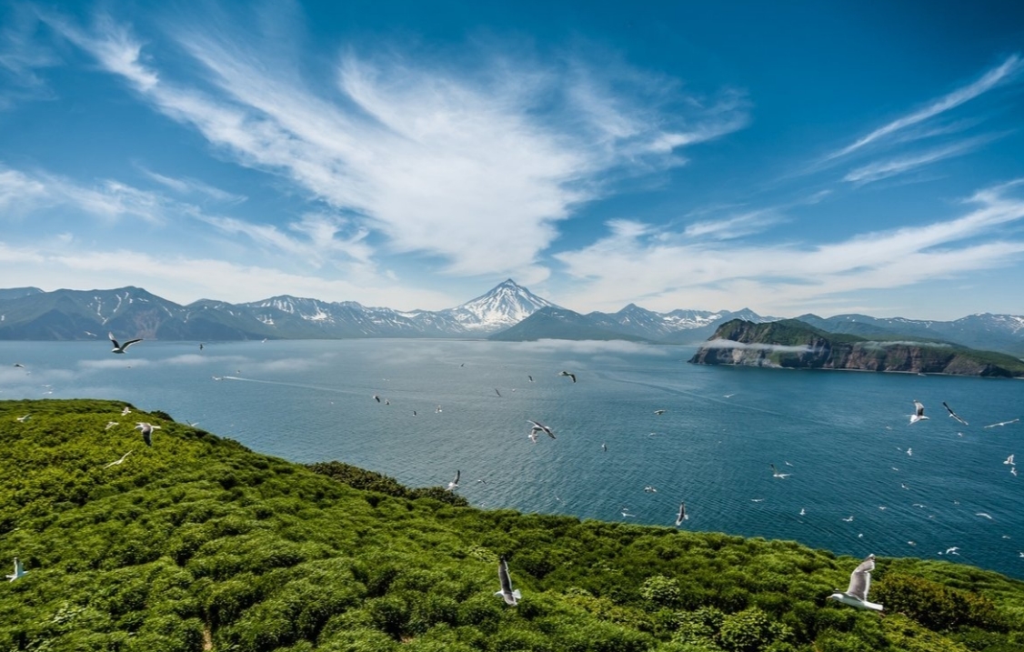 Фото организации